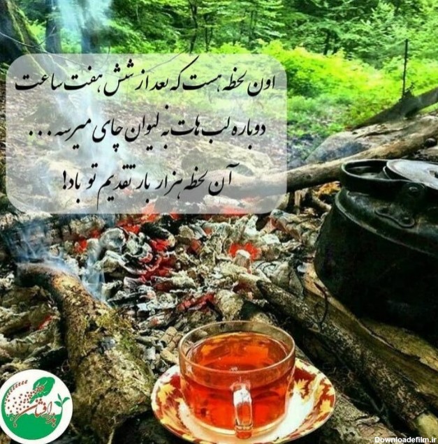 عکس نوشته از چای