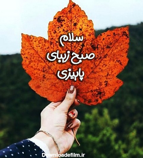 عکس صبح بخیر پاییز