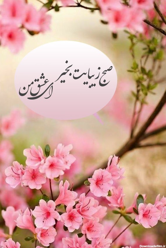عکس پروفایل سلام صبح زیباتون بخیر