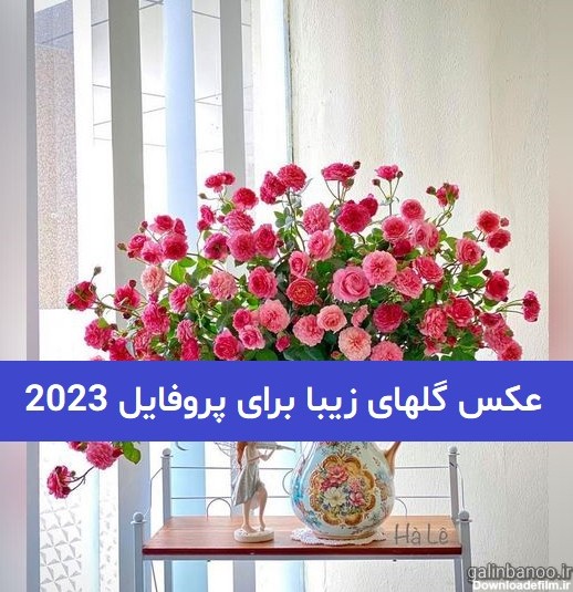 عکس شیک گل برای پروفایل