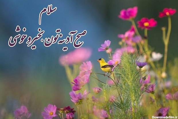 عکس سلام و صبح بخیر روز جمعه