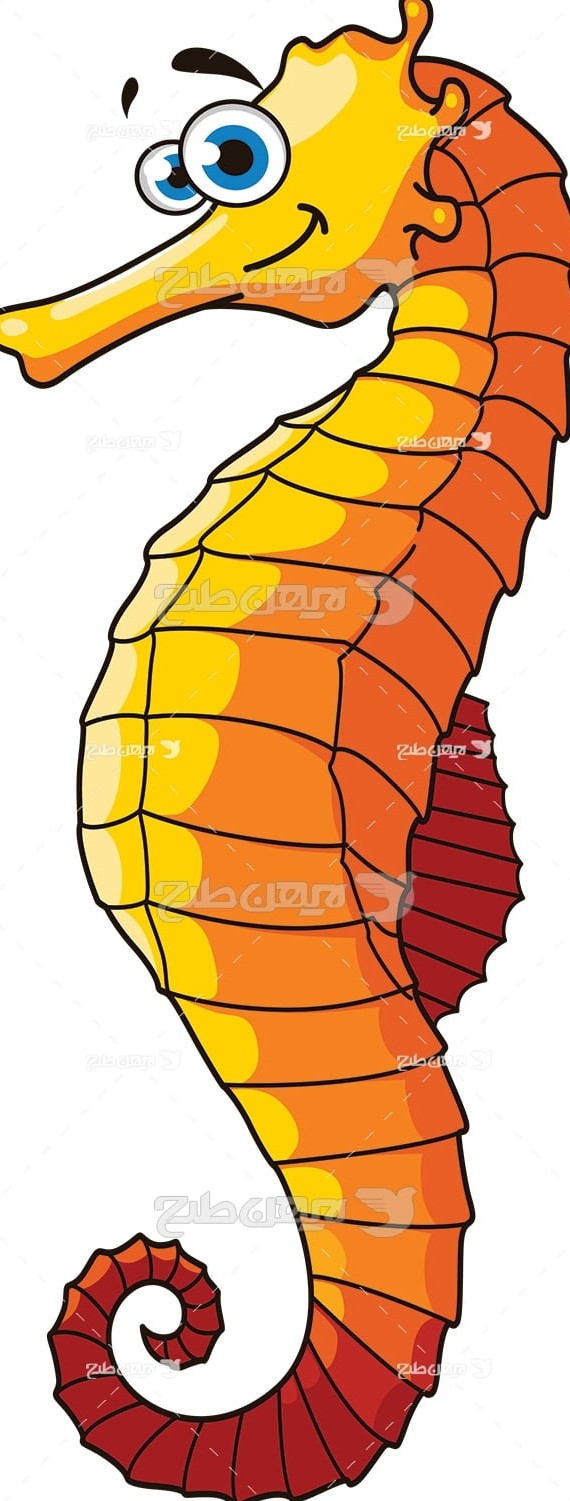 عکس های اسب دریایی کارتونی