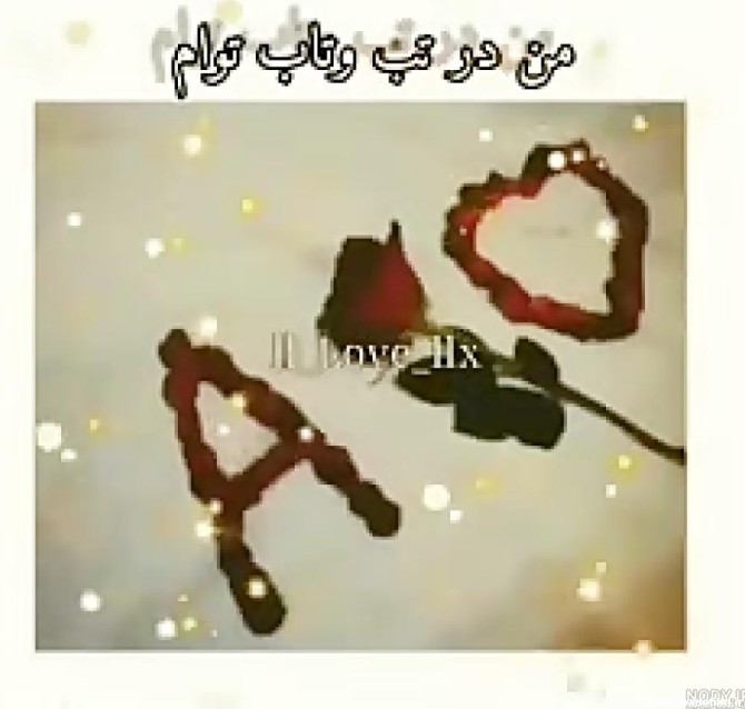 پروفایل علی ولی الله