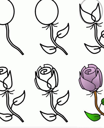 عکس نقاشی گل مرحله به مرحله