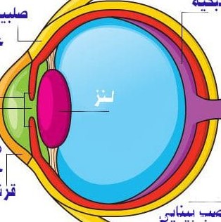 عکس نقاشی کره ی چشم