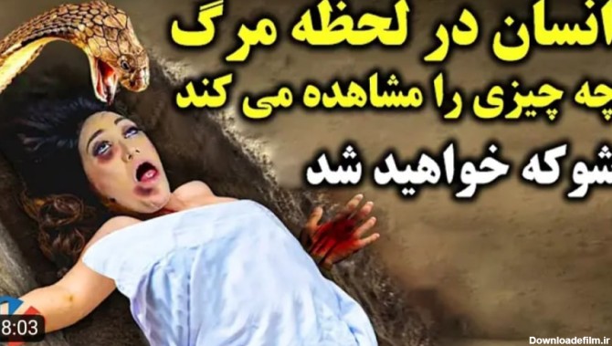 بال در بال عکس واقعی فرشته ی مرگ