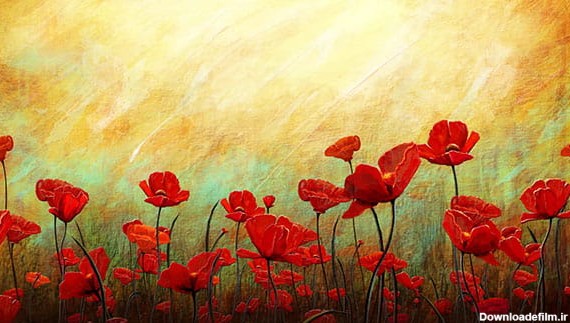 عکس پشت صحنه گل لاله