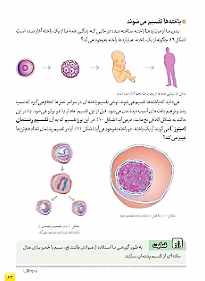 عکس از کتاب علوم هشتم