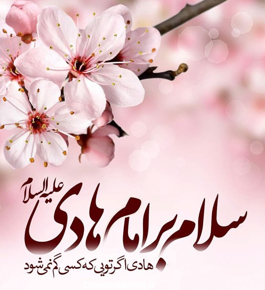 عکس تولد امام هادی