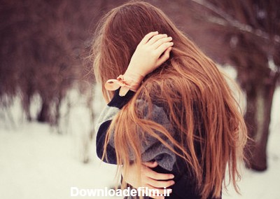 عکس گل رز قرمز در باران