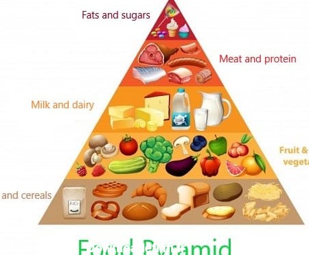 عکس هرم غذایی به انگلیسی