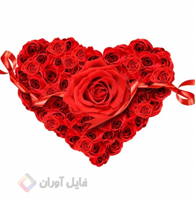 عکس از گل قلبی