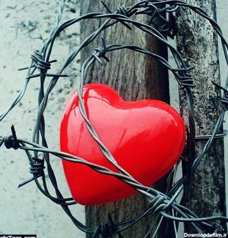 عکس قلب واقعی برای پروفایل