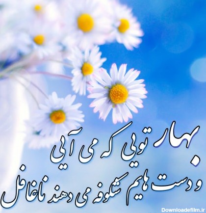 عکس بهار شعر