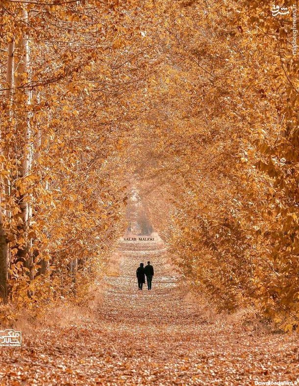 عکس طبیعت جالب و دیدنی