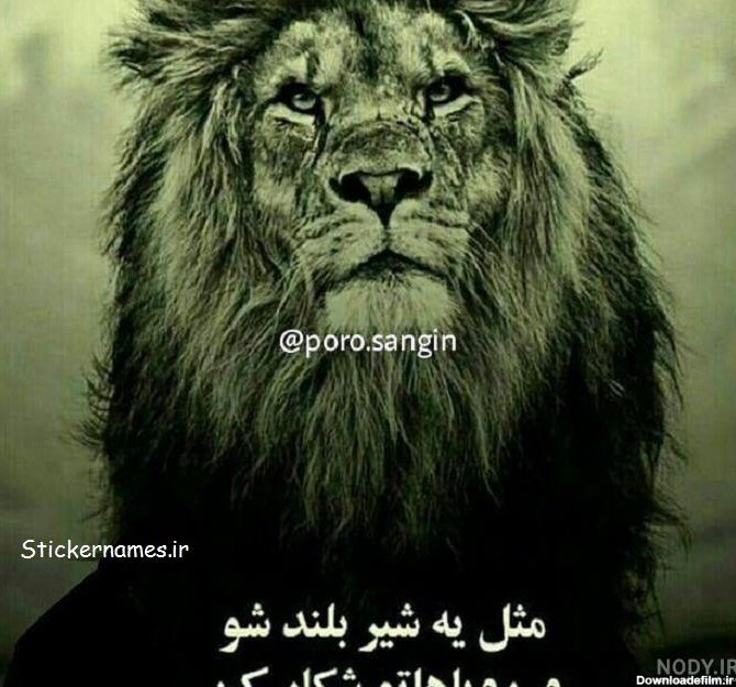 عکس نوشته از شیر