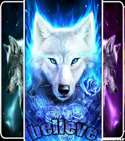 دانلود عکس تصویر زمینه گوشی گرگ