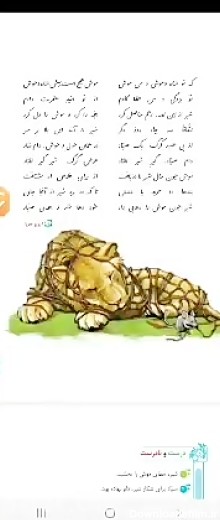 عکس درس شیر و موش