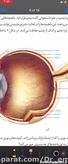 عکس چشم در زیست یازدهم