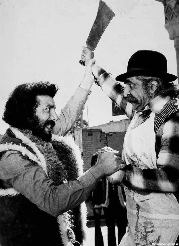 عکس های جوجه فکلی