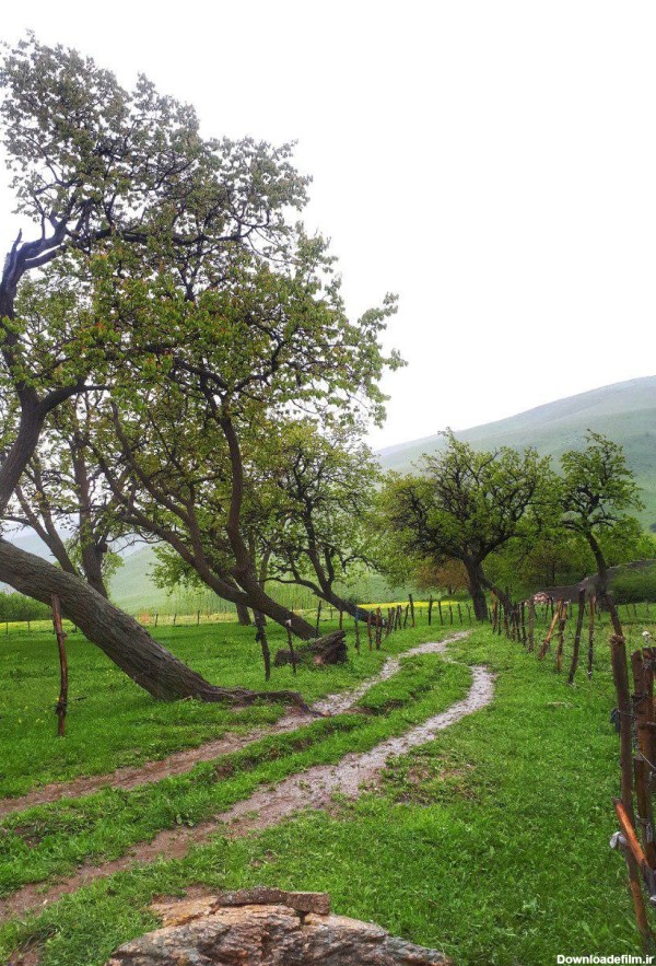 عکس بهاری روستای