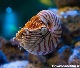 وسعت دریای خزر