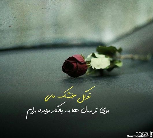 عکس نوشته گل پژمرده