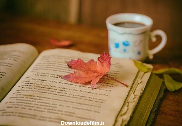 عکس دختر در حال کتاب خواندن برای پروفایل