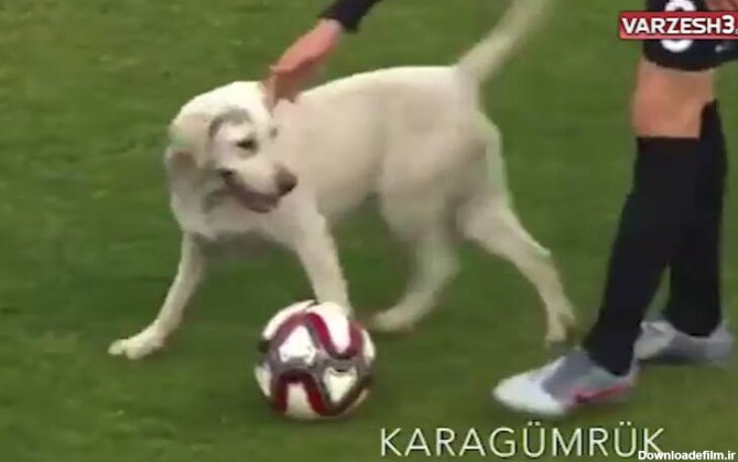 عکس خدای جنگ خدای جنگ