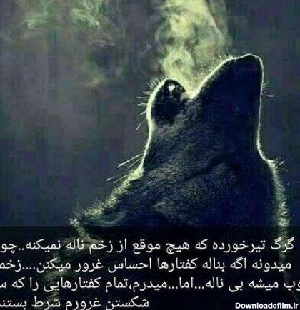 عکس نوشته از گرگ بودن