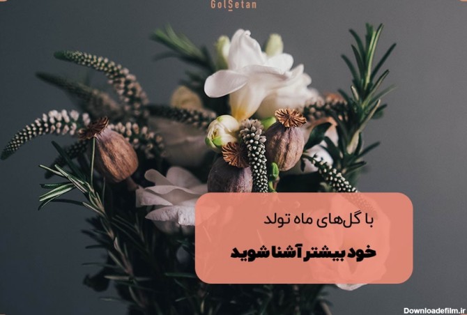 عکس گل ماه اسفند