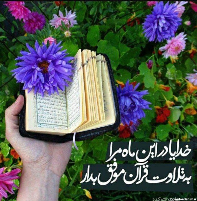 عکس بهار استوری