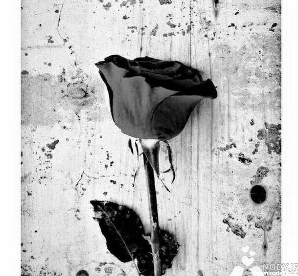 عکس قلب سیاه برای پروفایل