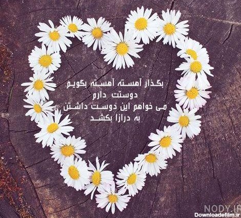 عکس قلب واقعی برای پروفایل