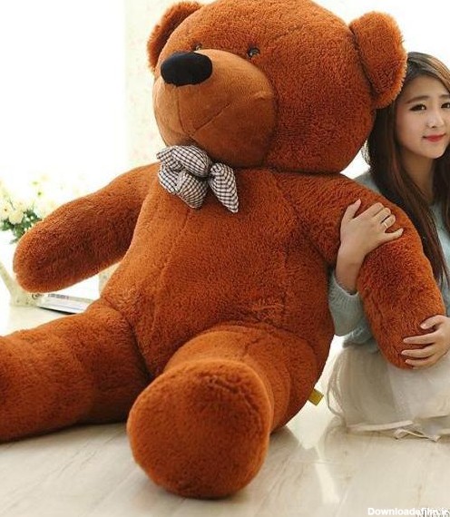 عکس خرس کیوت واقعی