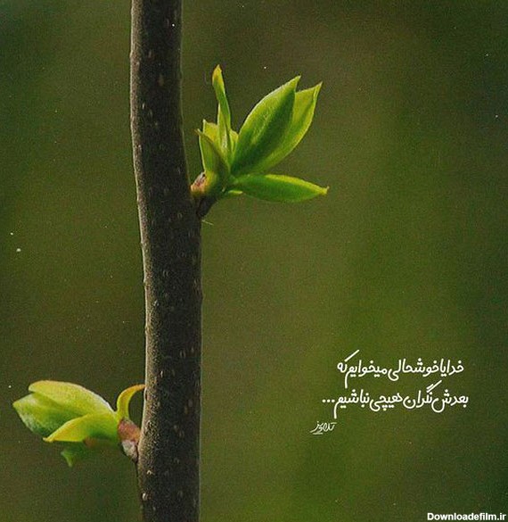 عکس نوشته متن خدایی