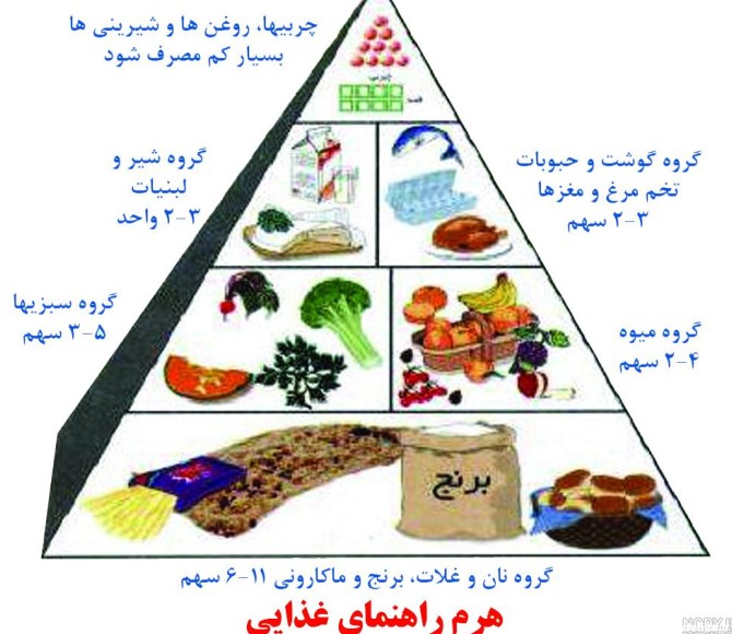 عکس هرم غذایی کلاس سوم