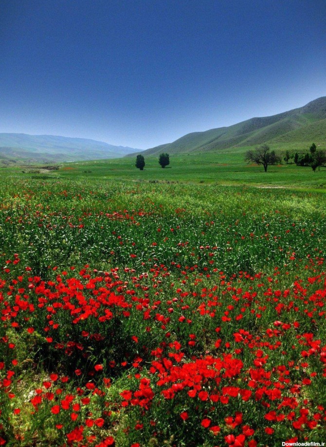 عکس از مناظر زیبای ایران