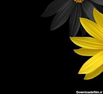 عکس پروفایل گل کلاسیک