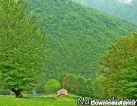 عکس از طبیعت بکر ماسوله