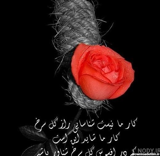 عکس گل برای دلتنگی