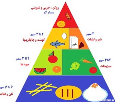 عکس هرم غذایی کلاس هفتم کاروفناوری