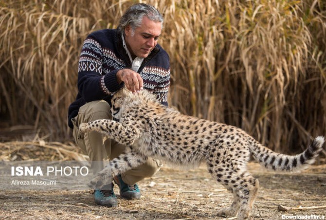 عکس های یوزپلنگ ایران