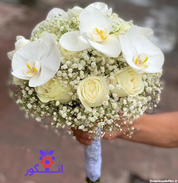 عکس دسته گل و عروس