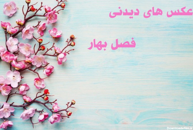 عکسهای فصل بهار برای پروفایل