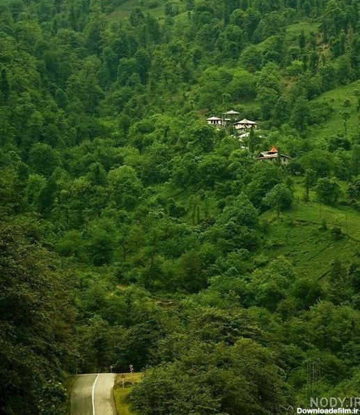 عکس طبیعت شمال گیلان