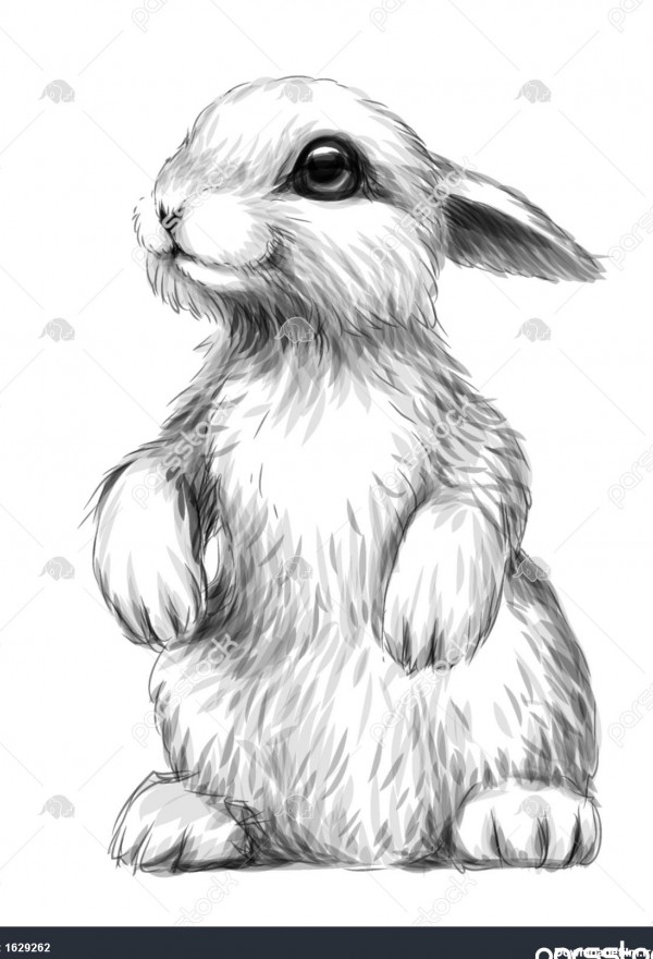 تصویر گل برای طراحی