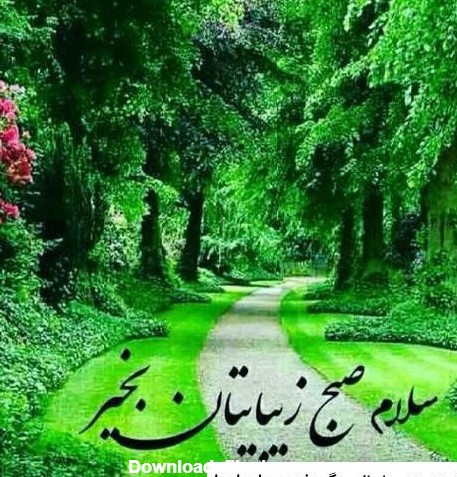 عکس طبیعت در صبح