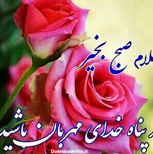 عکس گل نوشته دار سلام صبح بخیر