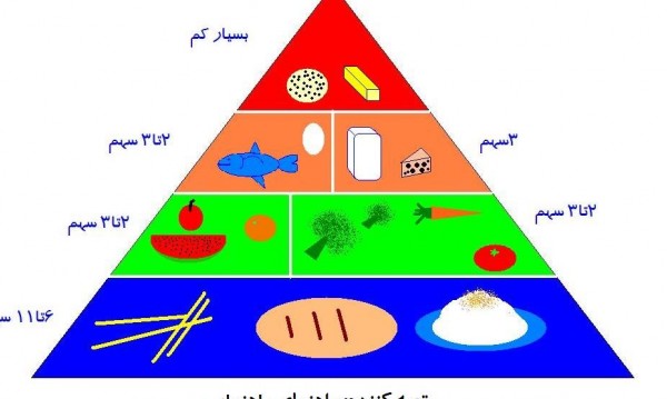 عکس هرم غذایی هفتم